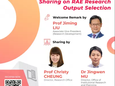 Research Mingle – Sharing on RAE Research Output Selection