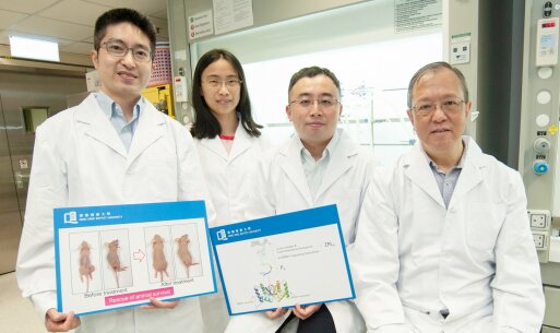 research team