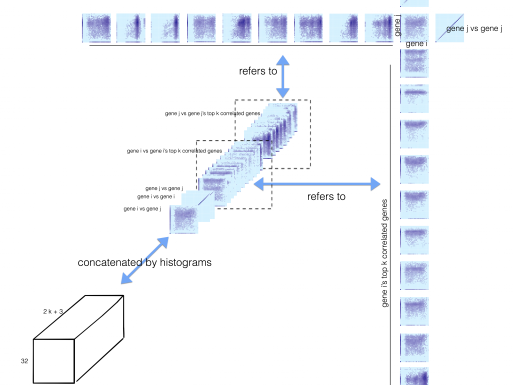 Effective reconstruction of GRNs based on the gene expression should be able to avoid capturing indirect influence among the genes to be the direct ones.